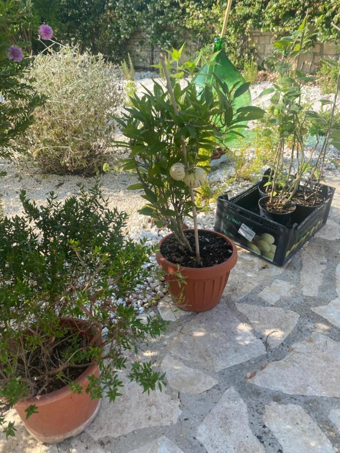 לינה וארוחת בוקר טרני Apulia Casa E Cucina מראה חיצוני תמונה